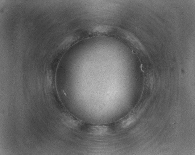 X0000051890328200506241355