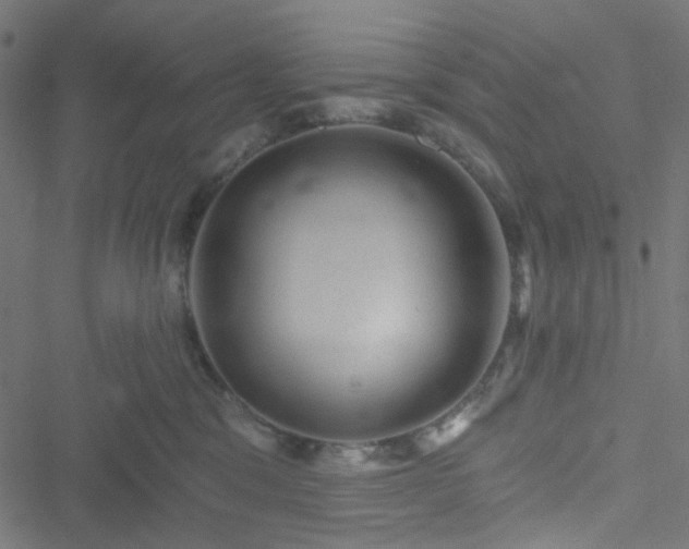 X0000051890329200506241355