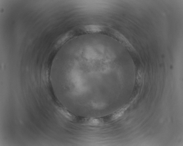 X0000051890330200506241355