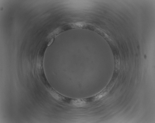 X0000051890331200506241355