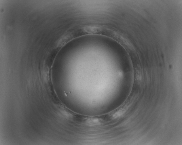 X0000051890332200506241355