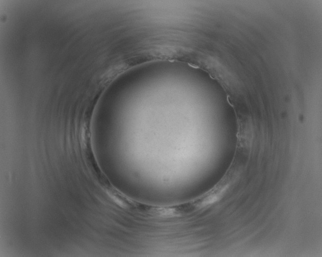 X0000051890334200506241355