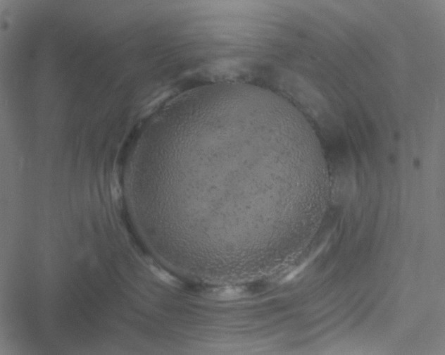 X0000051890335200506241355