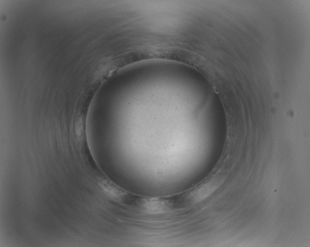 X0000051890336200506241355