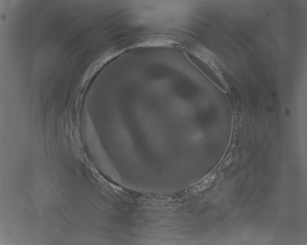 X0000051890337200506241354