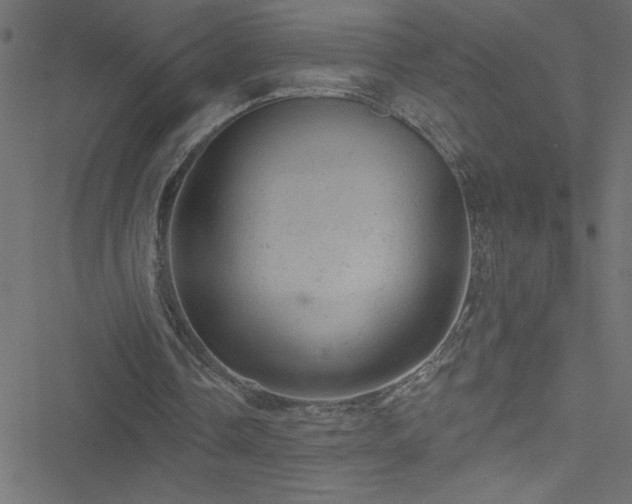 X0000051890338200506241354