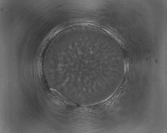 X0000051890339200506241354