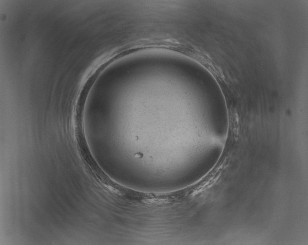 X0000051890340200506241354