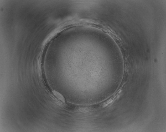 X0000051890341200506241354