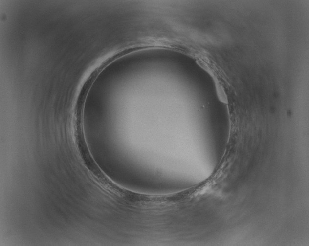 X0000051890342200506241354