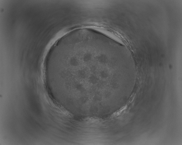 X0000051890343200506241354