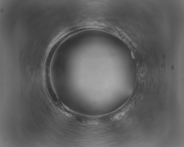 X0000051890344200506241354