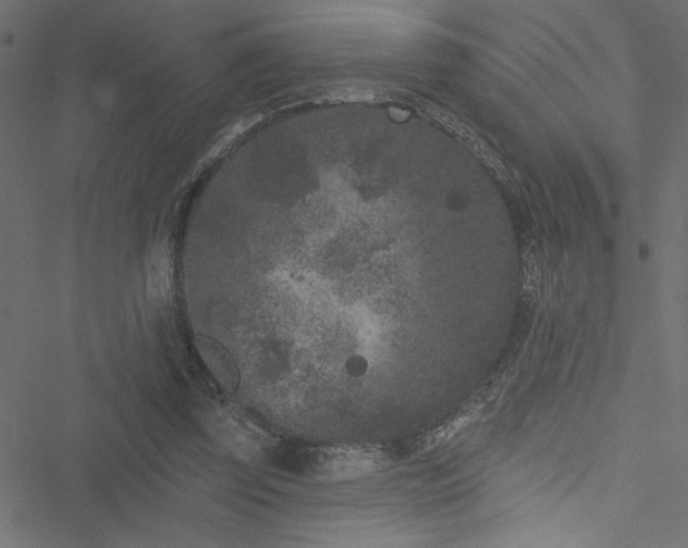 X0000051890347200506241354