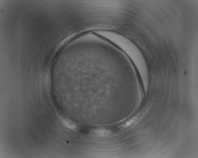 X0000051890348200506241354