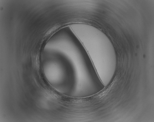 X0000051890349200506241354