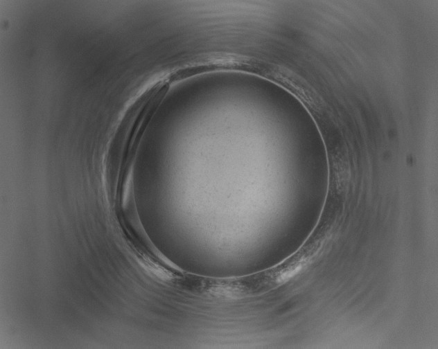 X0000051890350200506241355