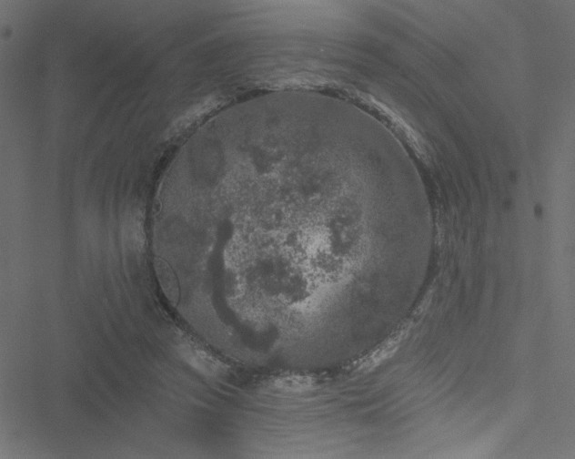 X0000051890353200506241355