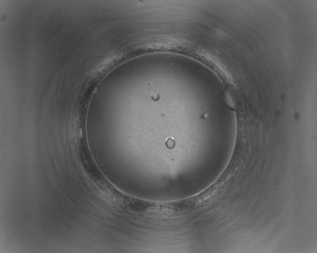 X0000051890354200506241355