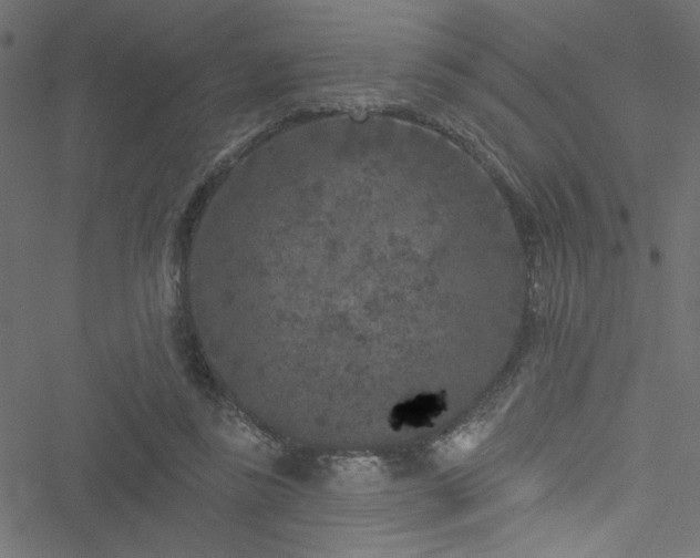 X0000051890355200506241355