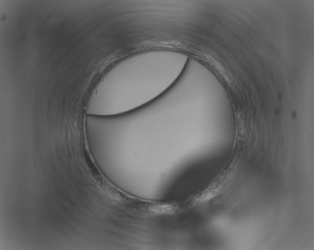 X0000051890357200506241355