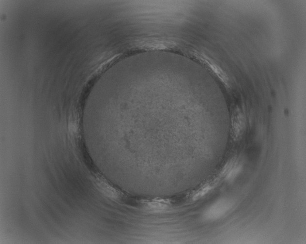 X0000051890359200506241355