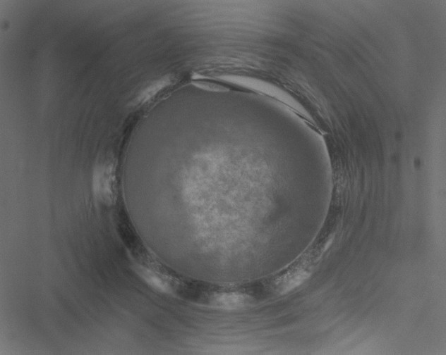 X0000051890360200506241355