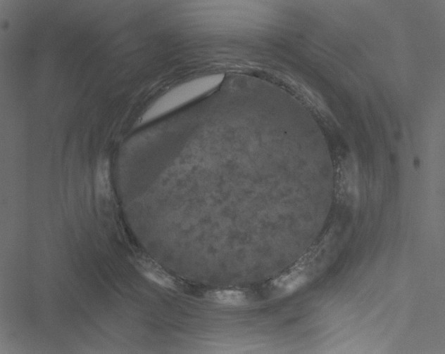 X0000051890361200506241355