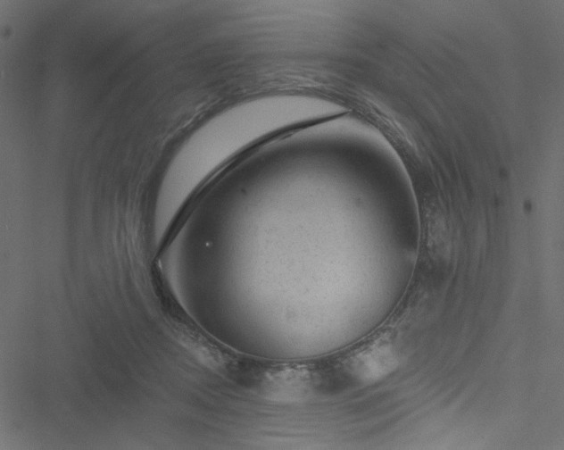 X0000051890362200506241355