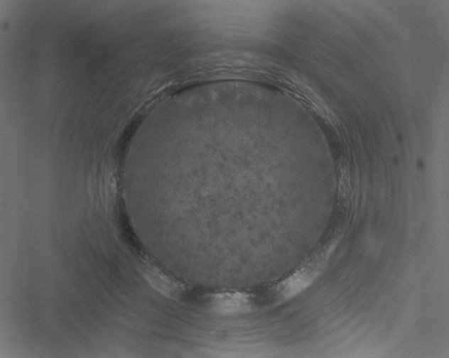 X0000051890363200506241355