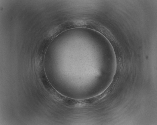 X0000051890364200506241355