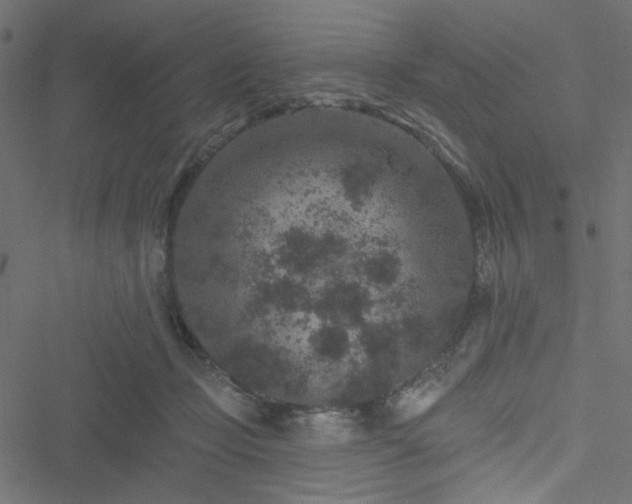 X0000051890365200506241355