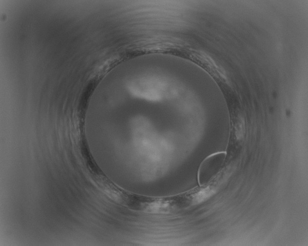 X0000051890366200506241355