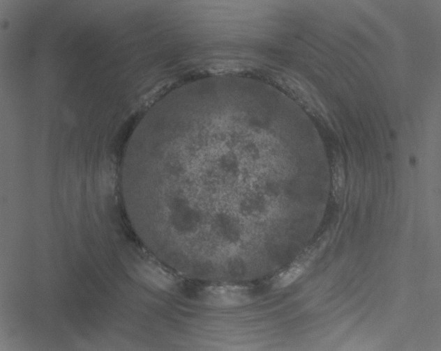 X0000051890367200506241355