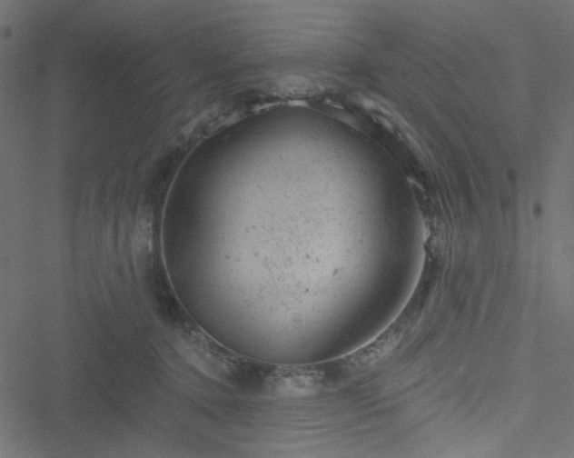 X0000051890368200506241355