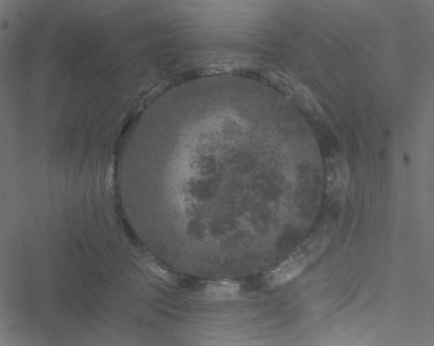 X0000051890369200506241355