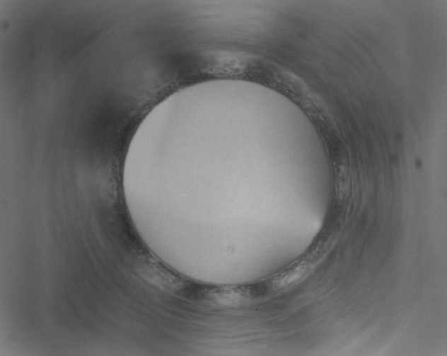 X0000051890370200506241355