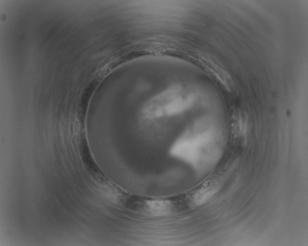 X0000051890371200506241355