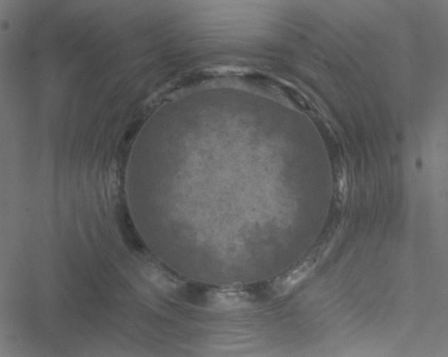 X0000051890372200506241355