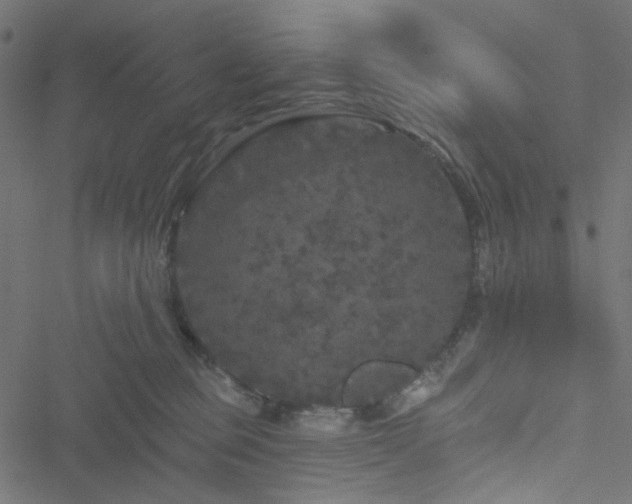 X0000051890373200506241355