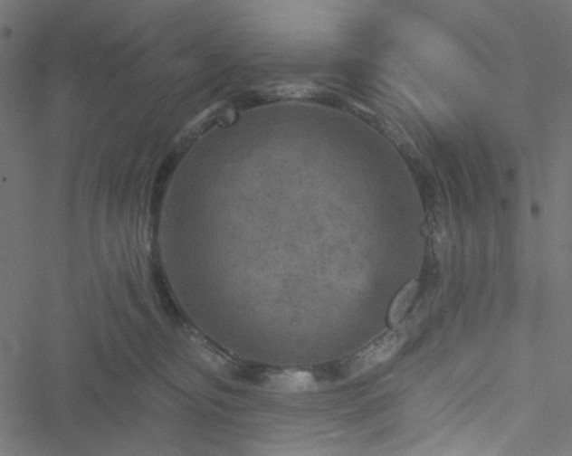 X0000051890374200506241355