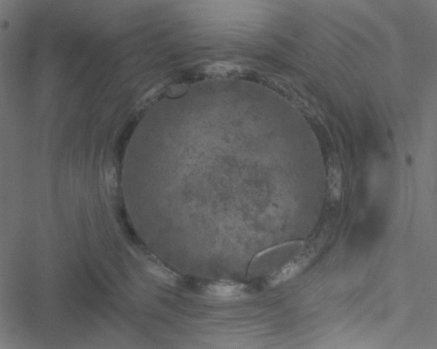 X0000051890375200506241355