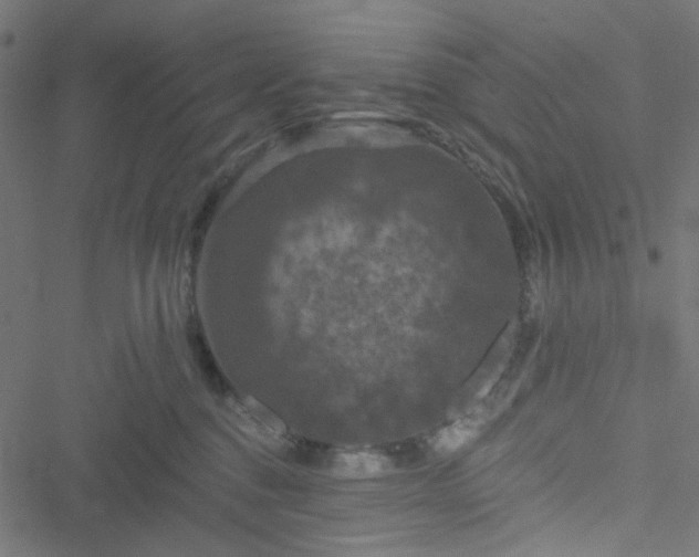 X0000051890376200506241355