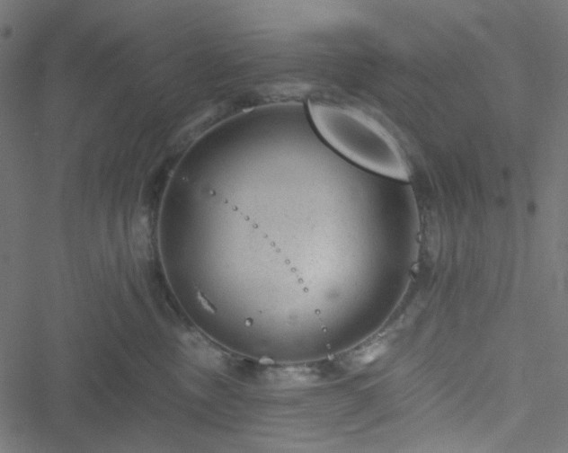 X0000051890378200506241355