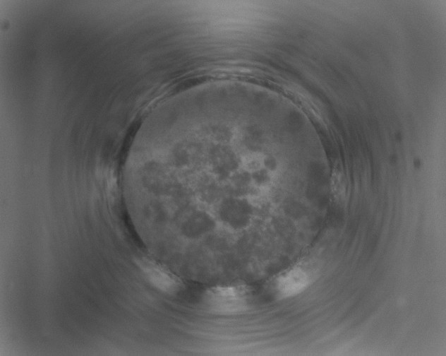 X0000051890381200506241355