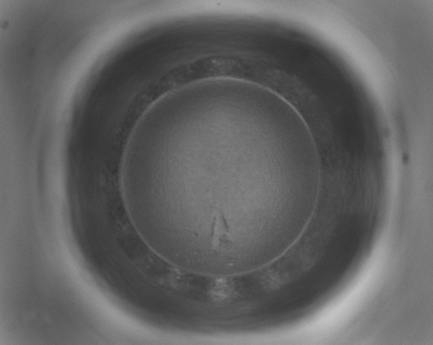 X0000051890382200506241355