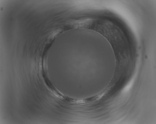 X0000051890383200506241355