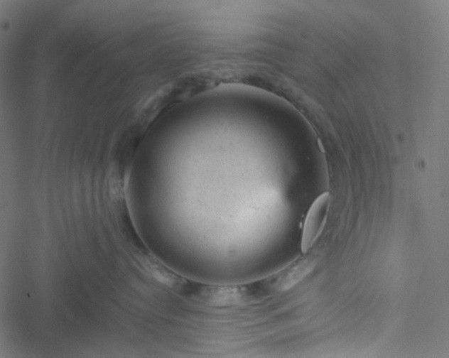 X0000051890384200506241355