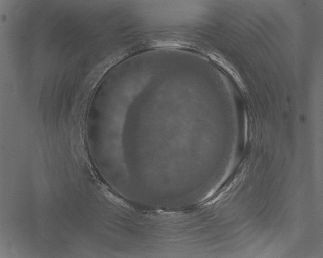 X0000051890385200506241354