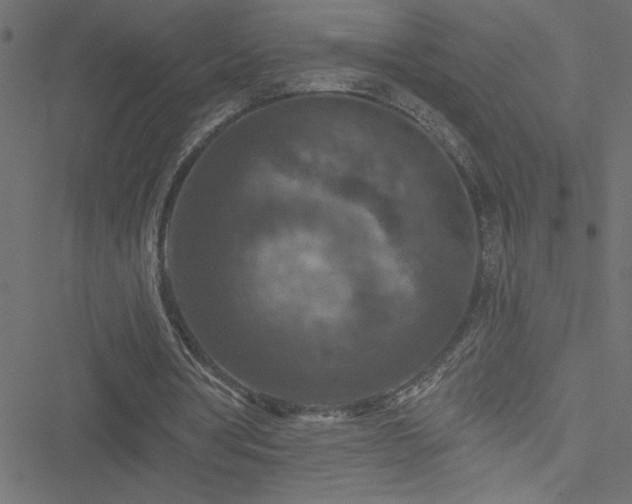 X0000051890386200506241354