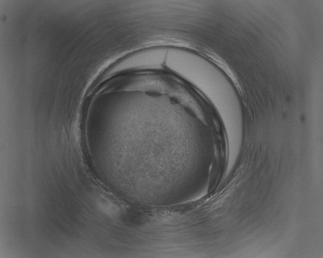 X0000051890387200506241354